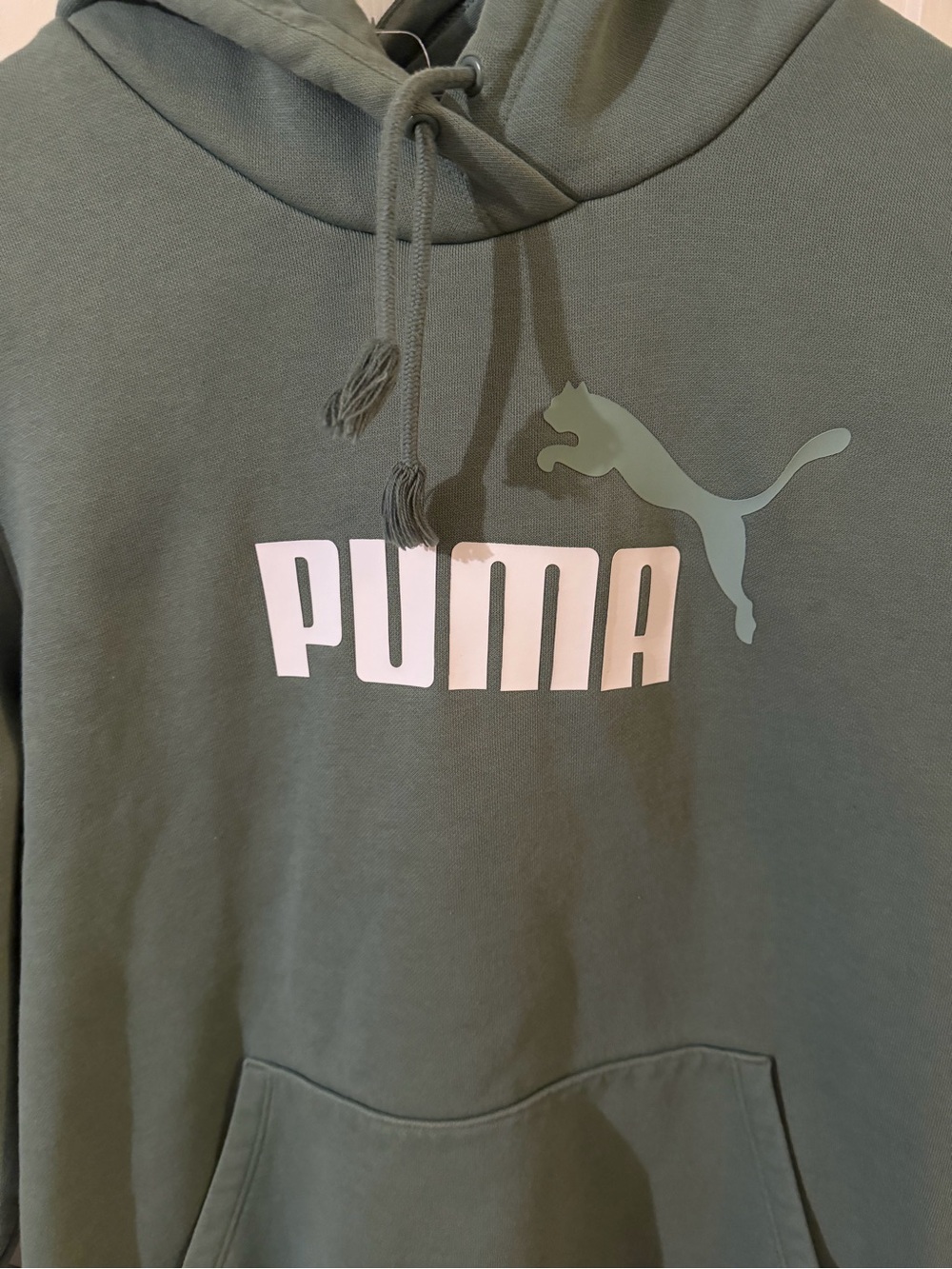 Puma Boys Sage Green Logo Hoodie - Picture 2 of 4